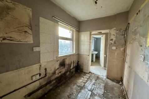 Thumbnail IMG 6982 T202511241357.jpg