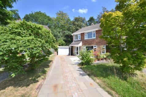 Front, Driveway.JPG