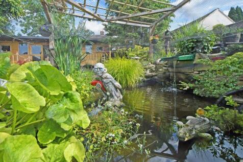 REAR GARDEN FISH POND