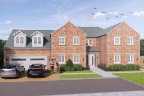 Phase 2 CGI Plot 5