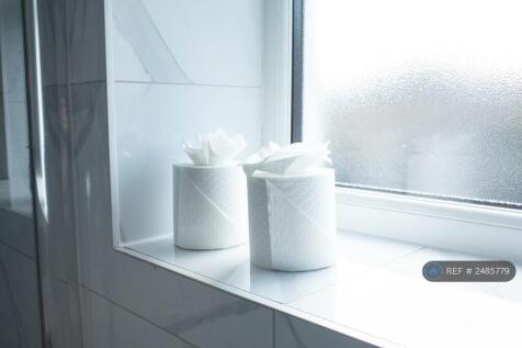 Mesh Accommodation Everything You Need