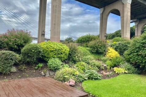Back Garden