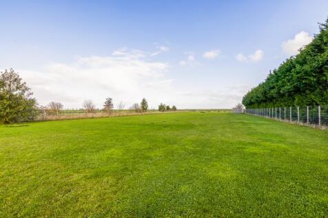 Pegasus (South Holland)-16