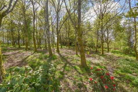 Property Image 44