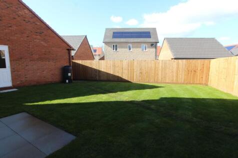 Back Garden