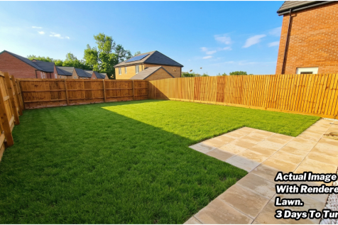 Large garden