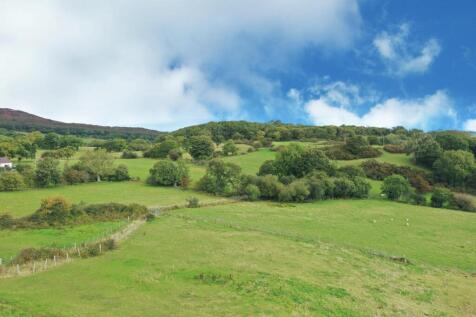 PHOTO-2025-09-19-16-48-00 (3).jpg