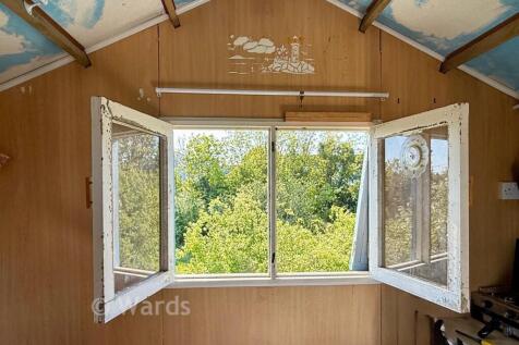 Rear Windows