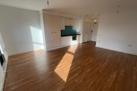 Livingroom, Bedroom and Kitchen Area