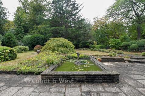 Rear Garden (Original)