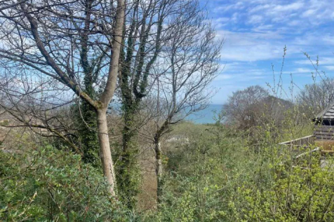 Coastal and woodland views from lodge at Watermout