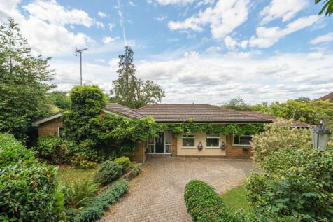 1313636-5-6866911...