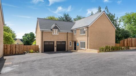 Property Image 56