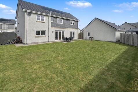 Rear garden.