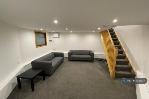 Lower Living Room