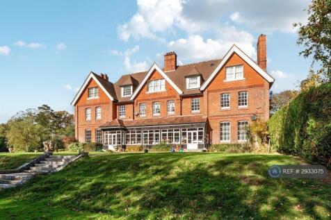 Rear View Of The Manor