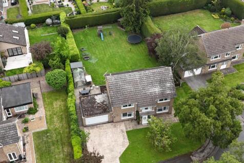 DJI_20260509145947_0248_D.JPG