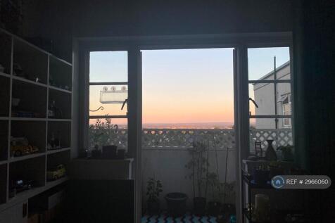Morning View
