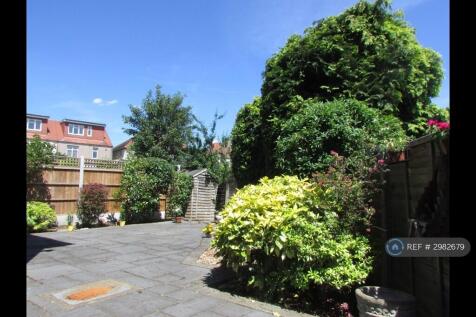 Back Garden