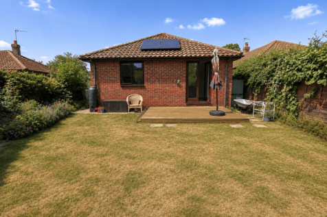 Back garden