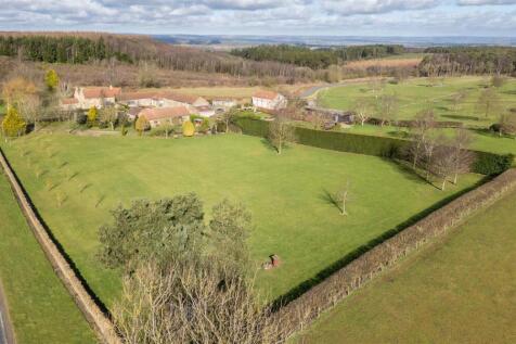 The Paddocks