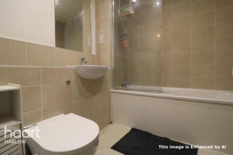 Wych Elm, Harlow photo 3