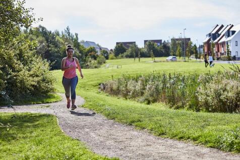 Areas of green open space on the development