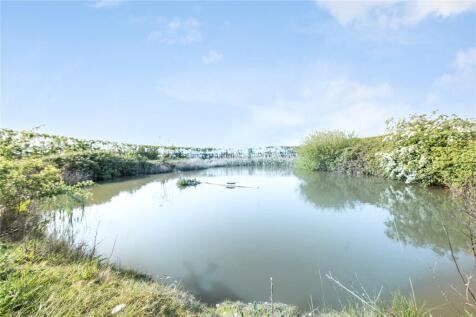 Pond