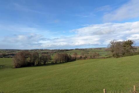 ADDITIONAL PHOTOGRAPH