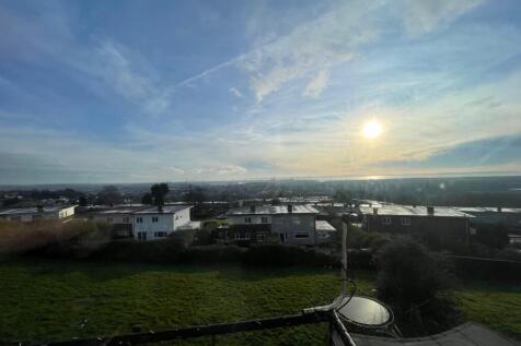 IMG 3073 T202601271617.jpeg