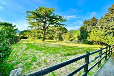 PHOTO-2024-07-16-21-55-21 (10).jpg