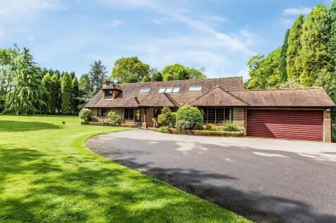 Lodgefield-49.jpg