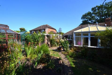 Garden 2 .JPG