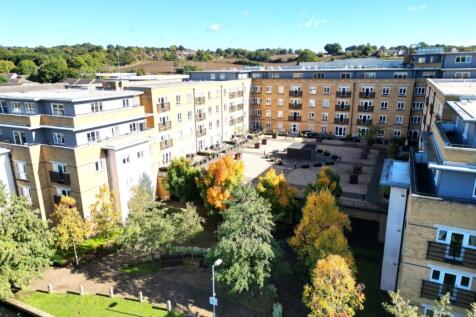 Rear Aspect of development 