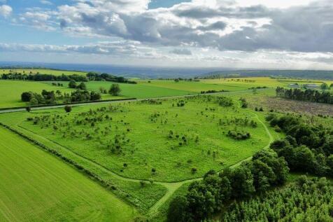 Farm Land for sale Image 4