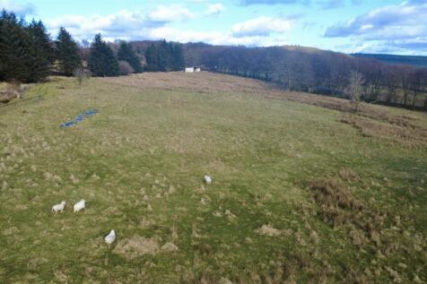 dji_fly_20260228_151150_194_1772291643249_photo_op