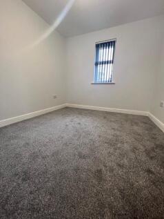 PHOTO-2024-10-17-10-31-26 (6)