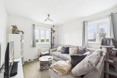 Living Room Area