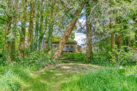 View back up to yard from Woodlands