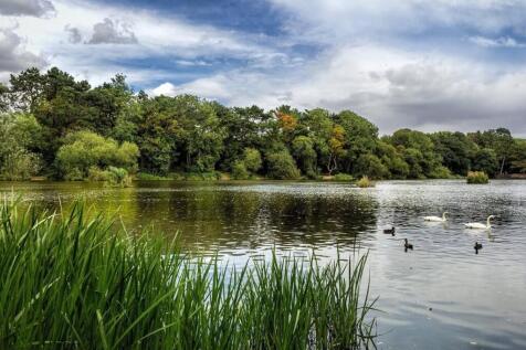 Shipley Country Park