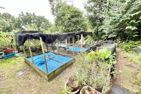 Vegetable/ Produce