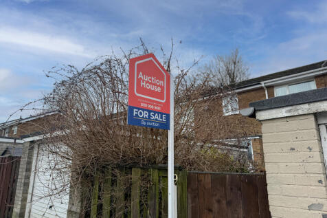 IMG 1598 T202601300820.jpg