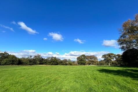 Photo 08-10-2025, 14 29 24.jpg