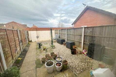 garden NEW