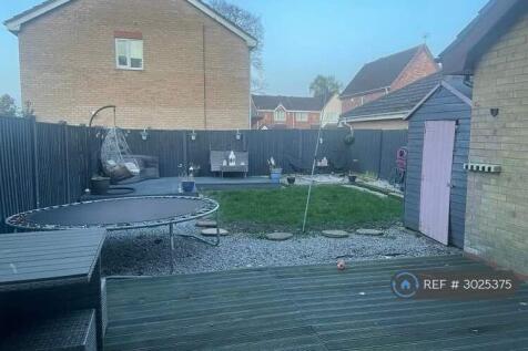Back Garden