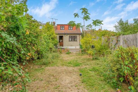 Garden (4)