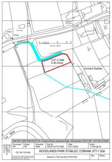 Picture No. 11