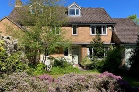 Property Image 43