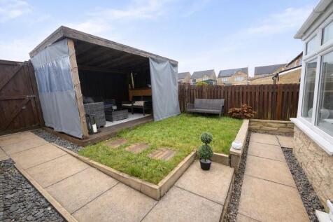 Back garden.