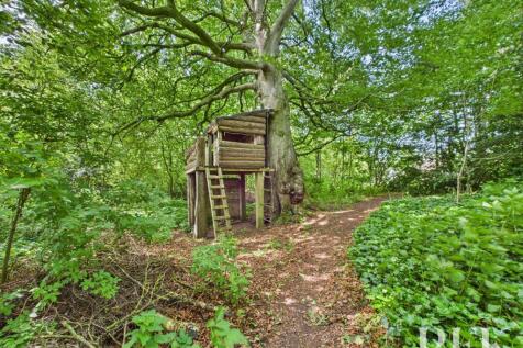 Treehouse in Woodland